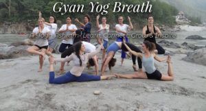 Yoga Teacher Training India