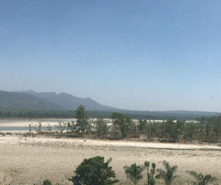 Yoga Journey to India