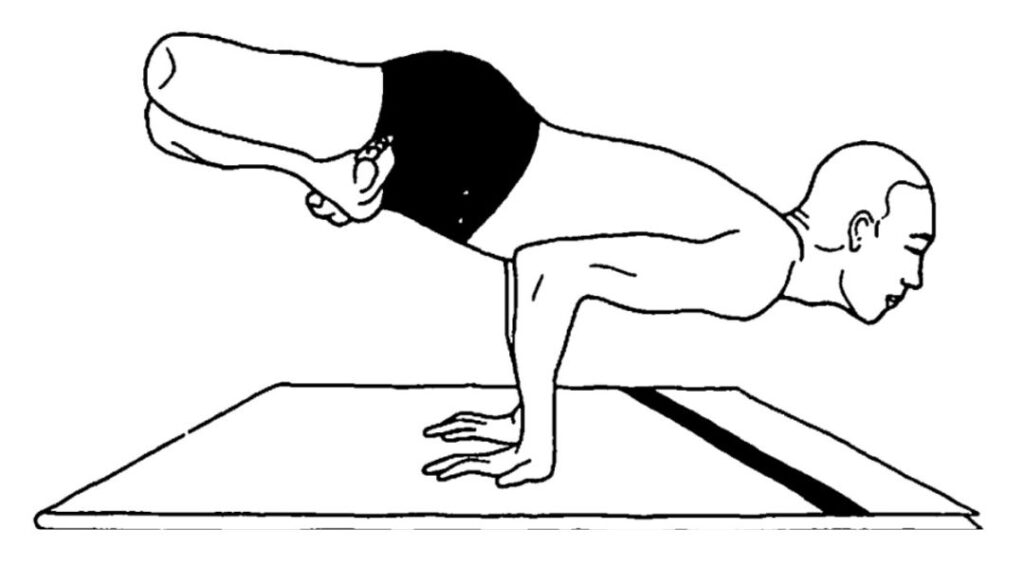 Padma Mayurasana