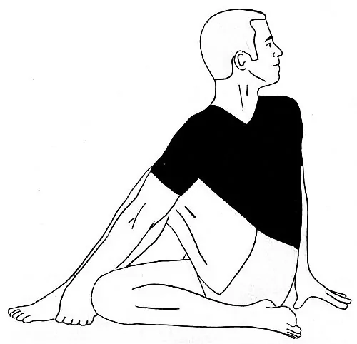 Ardha Matsyendrasana