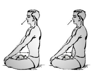 Kapalbhati Pranayama