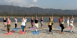 Yoga Teacher Training in India