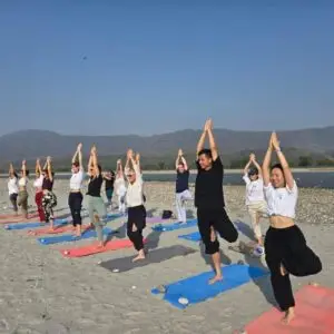 Online 200 hour Yoga Teacher Training