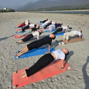 200 Hour Online Yoga Teacher Training