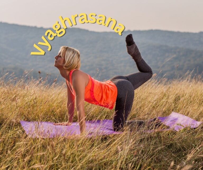 Vyaghrasana (Tiger Pose)