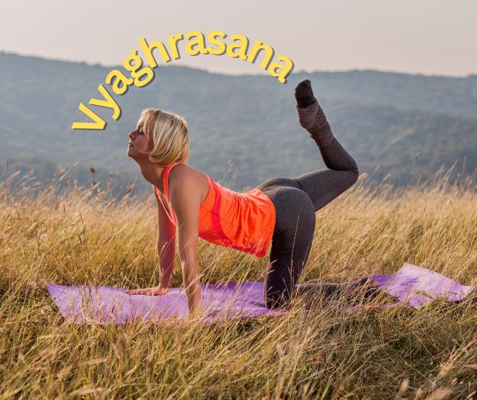 Vyaghrasana (Tiger Pose)