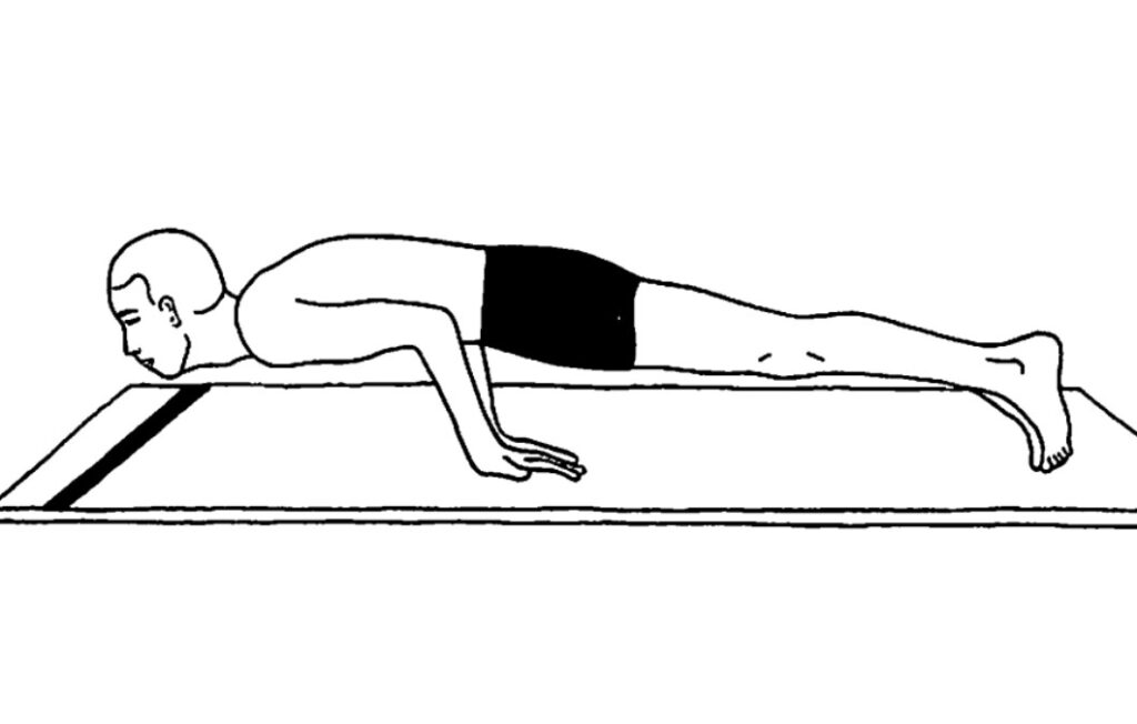 Hamsasana