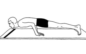 Hamsasana